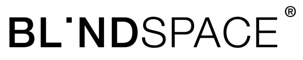 BlindSpace Logo - Large BlindSpace Logo - Large